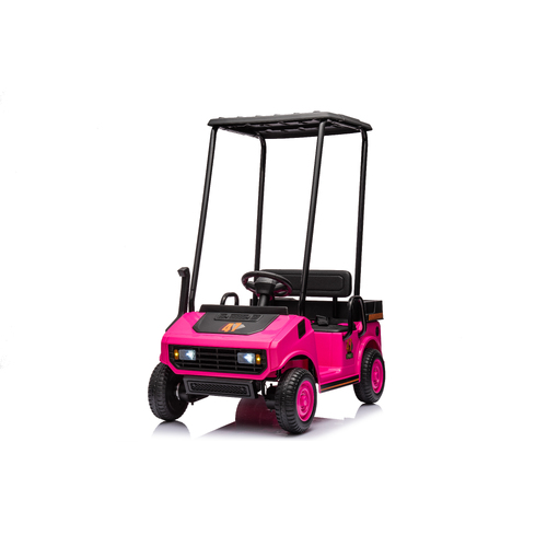 24V Golf Cart with Canopy Roof, Single Seat Ride-On Car for Kids - Pink