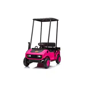 24V Golf Cart with Canopy Roof, Single Seat Ride-On Car for Kids - Pink